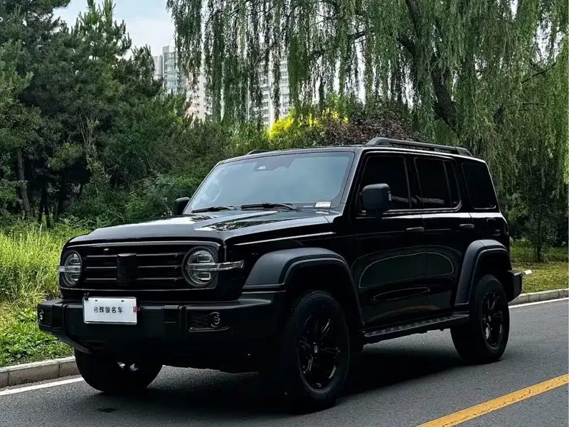 Tank 300