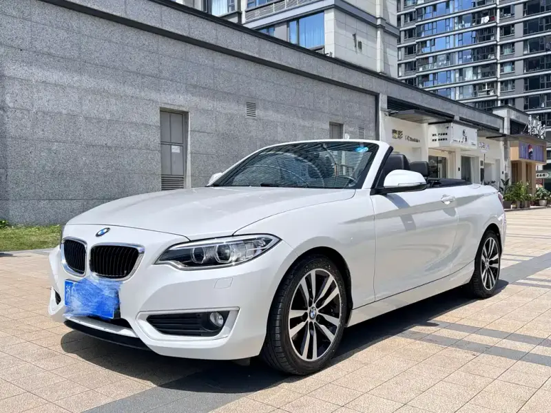 BMW 2 Series (Import)
