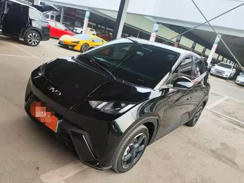 BYD Seagull