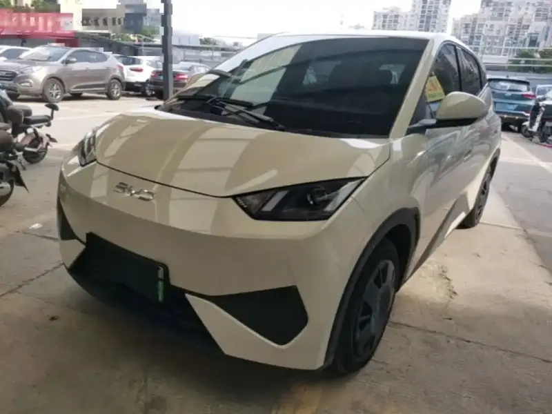 BYD Seagull
