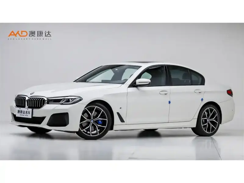 BMW 5 Series (Import)
