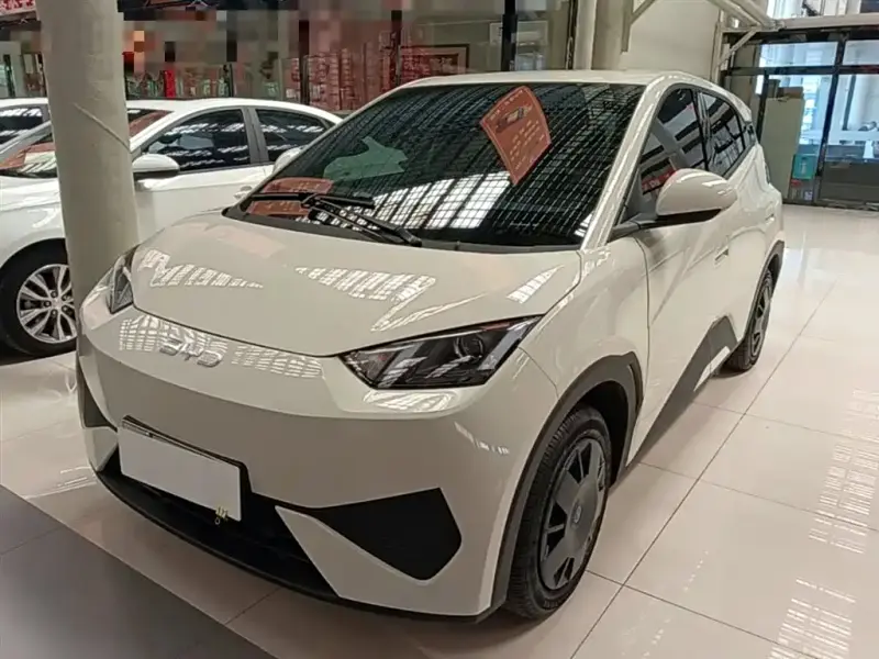 BYD Seagull