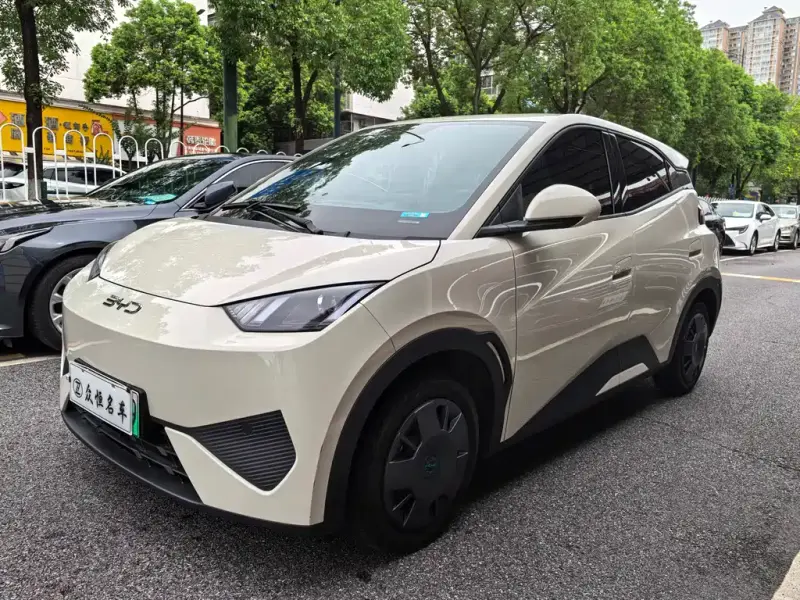 BYD Seagull