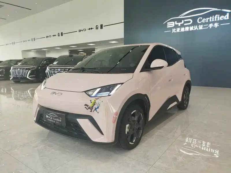 BYD Seagull