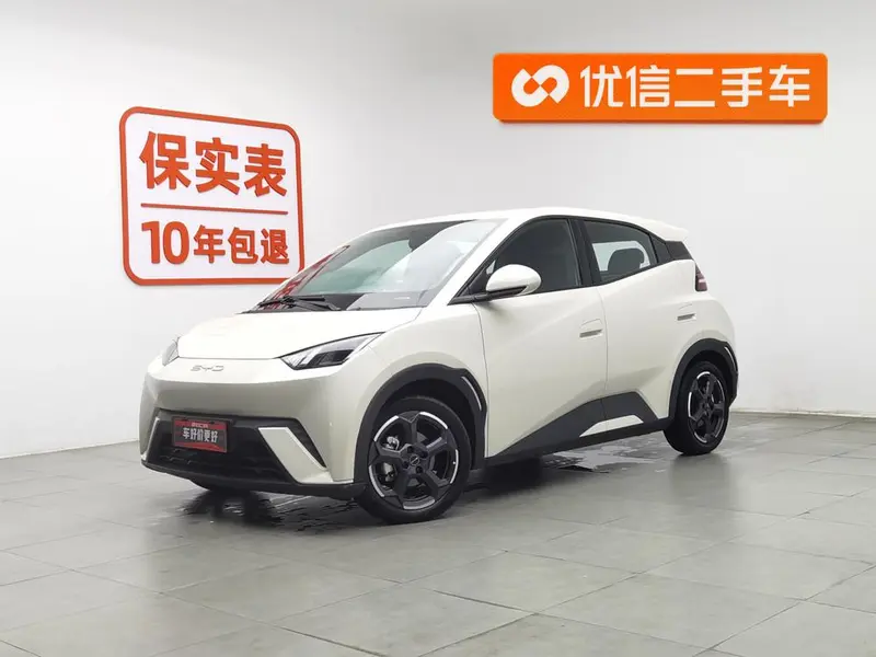 BYD Seagull