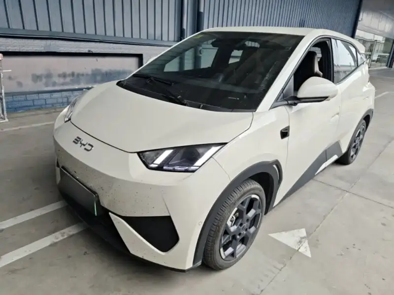 BYD Seagull