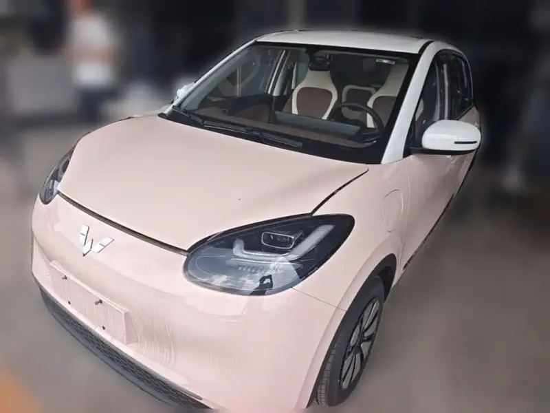 Wuling Bingo