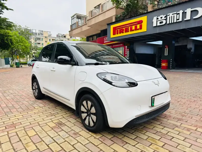 Wuling Bingo