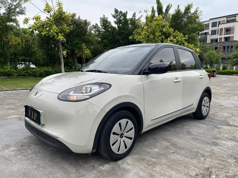 Wuling Bingo