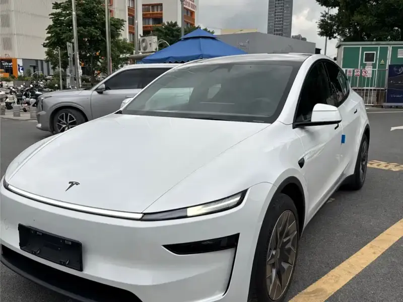 Tesla Model Y L