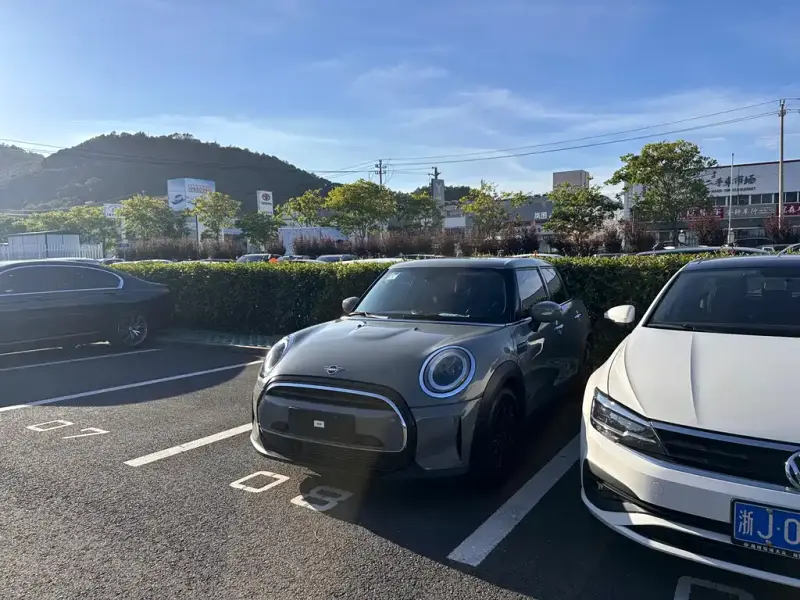 MINI Mini