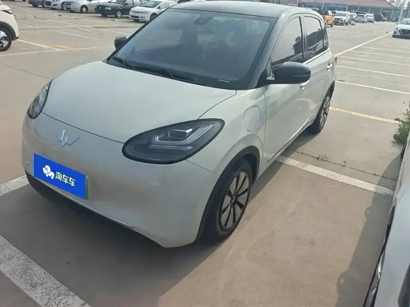 Wuling Bingo