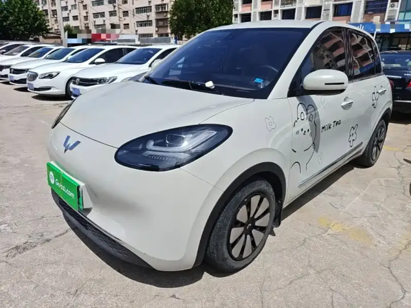 Wuling Bingo