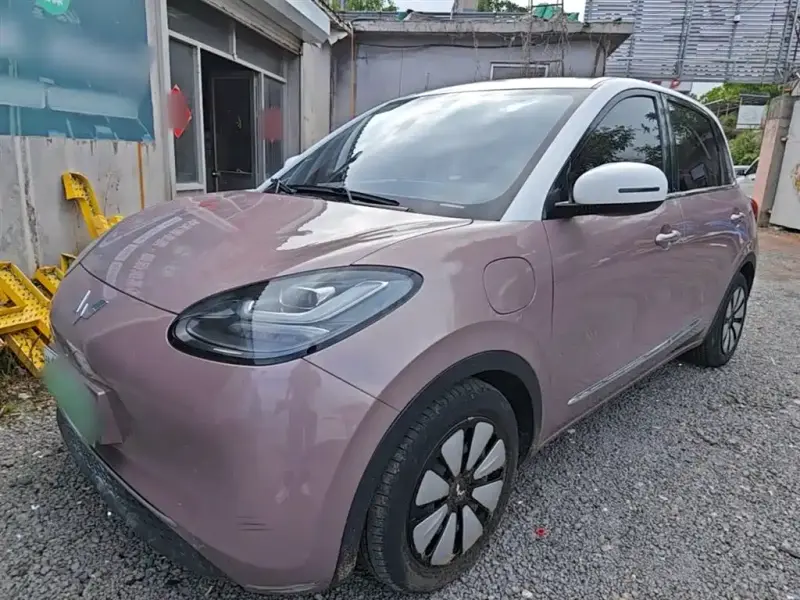 Wuling Bingo