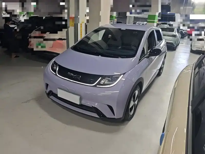 BYD Dolphin
