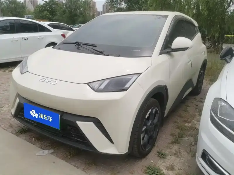 BYD Seagull