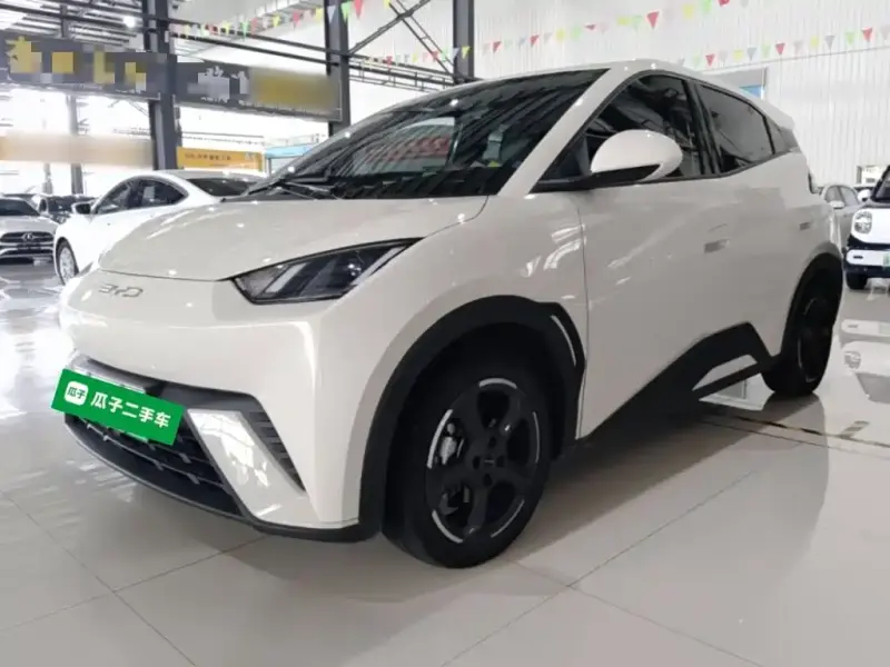 BYD Seagull