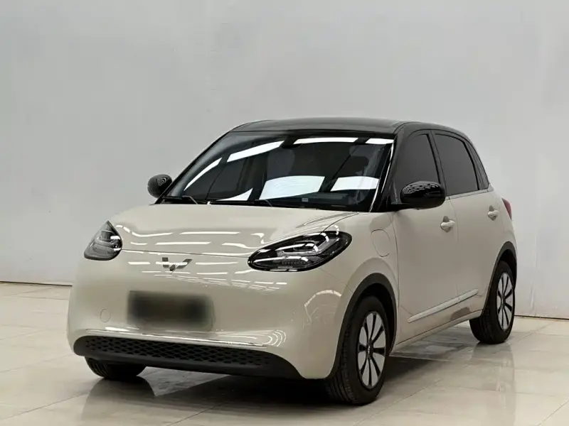 Wuling Bingo