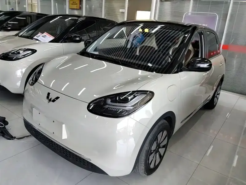 Wuling Bingo