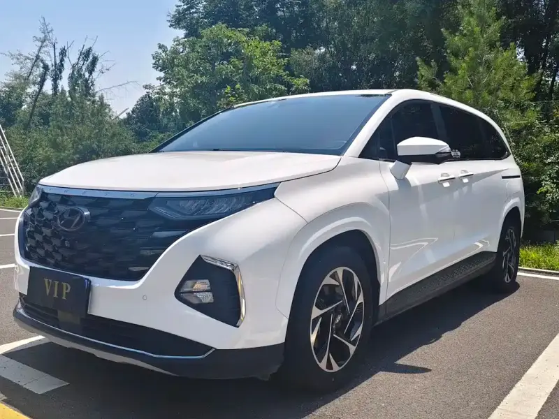 Hyundai Custo