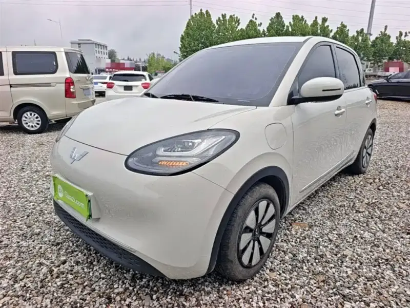 Wuling Bingo