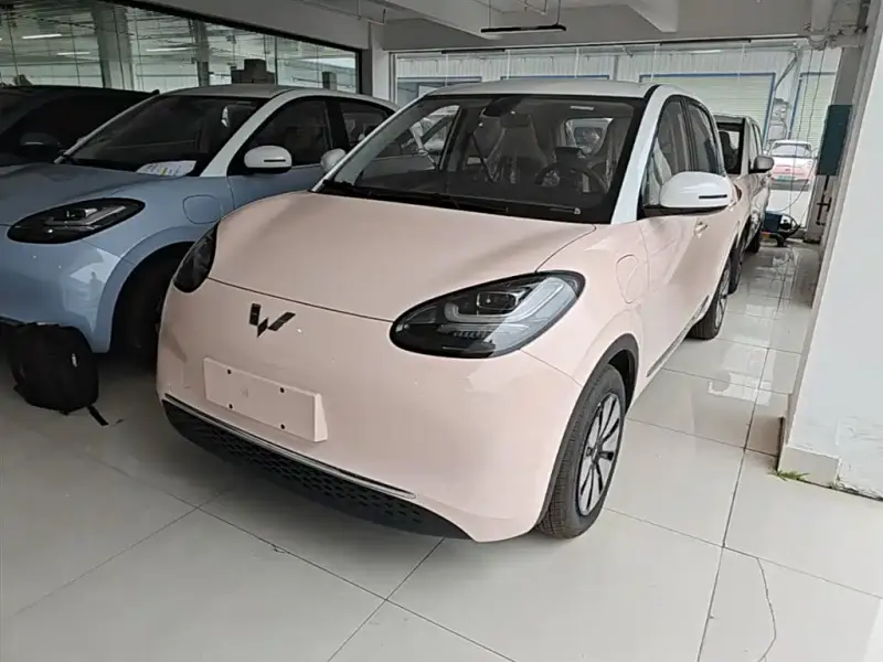 Wuling Bingo