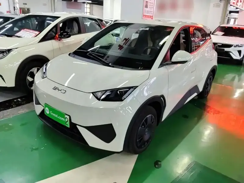 BYD Seagull