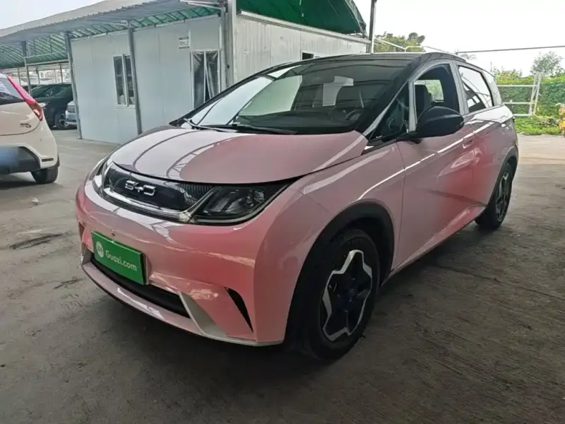 BYD Dolphin