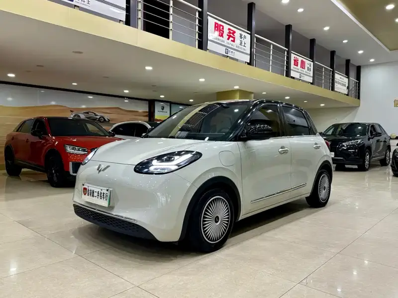Wuling Bingo