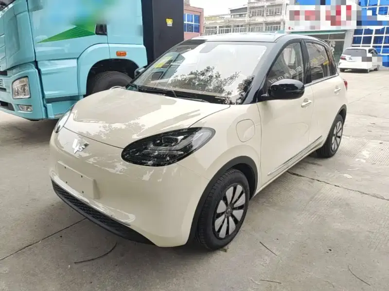 Wuling Bingo