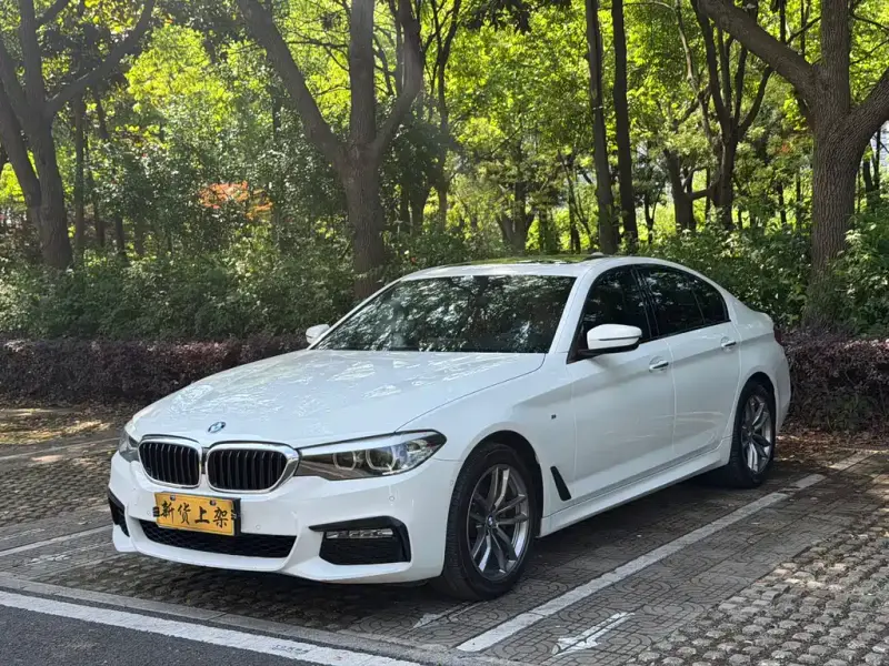 BMW 5 Series (Import)