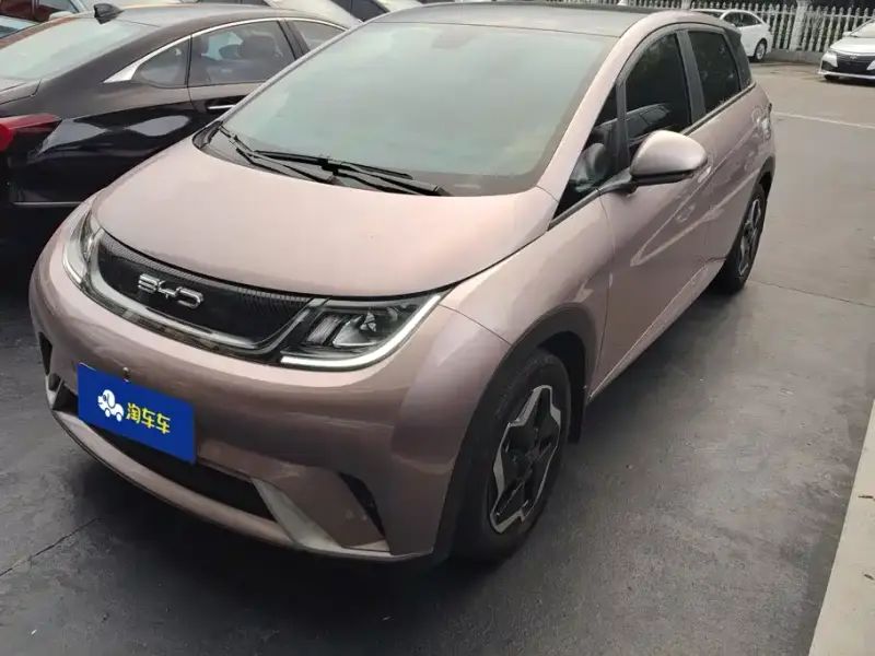 BYD Dolphin