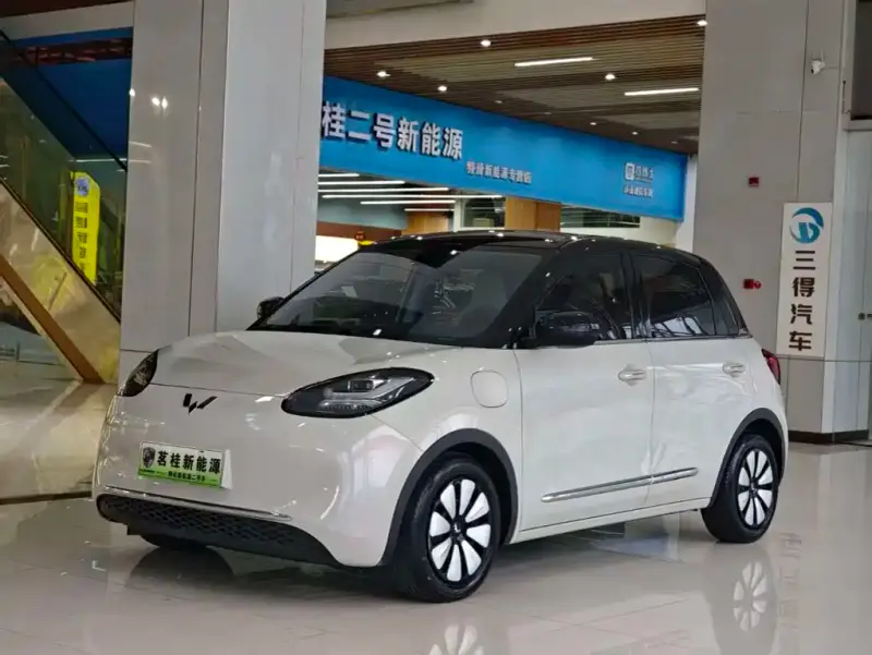 Wuling Bingo