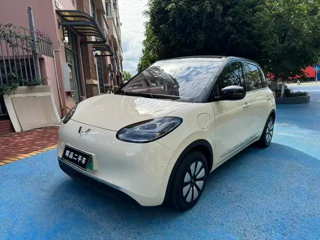 Wuling Bingo