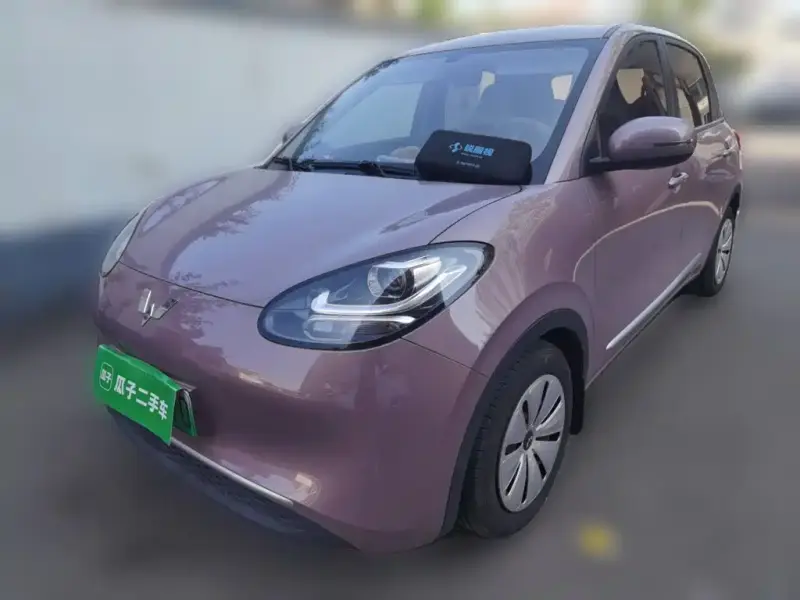 Wuling Bingo