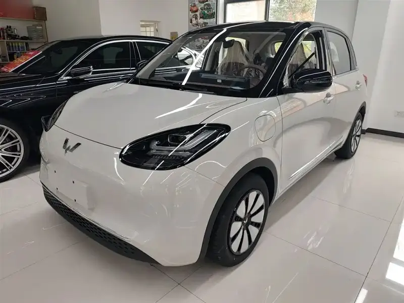 Wuling Bingo