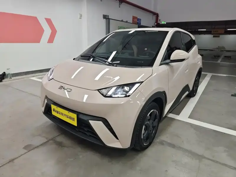 BYD Seagull