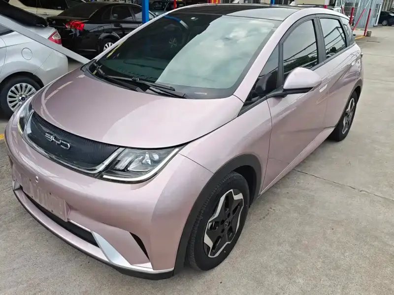 BYD Dolphin