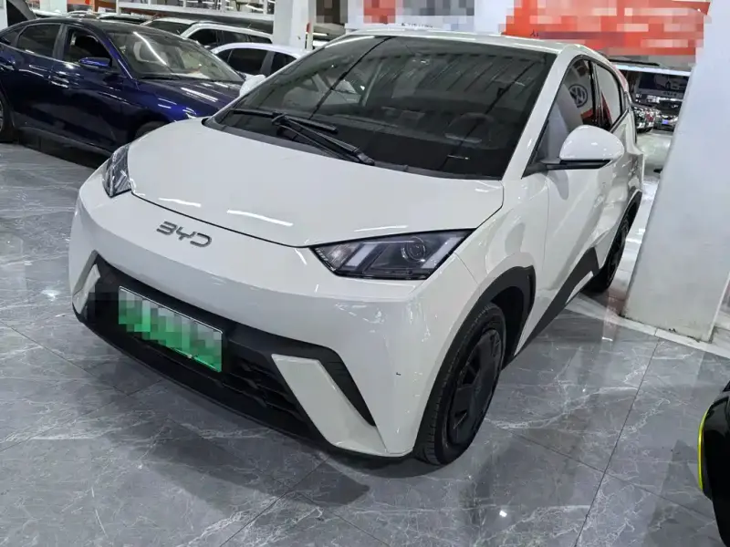 BYD Seagull