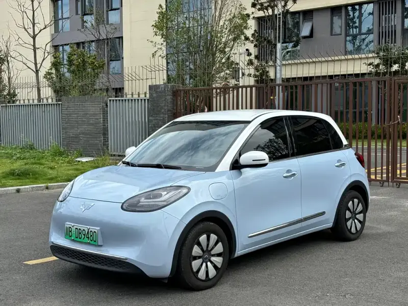 Wuling Bingo