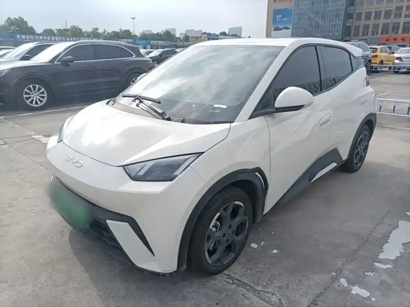 BYD Seagull