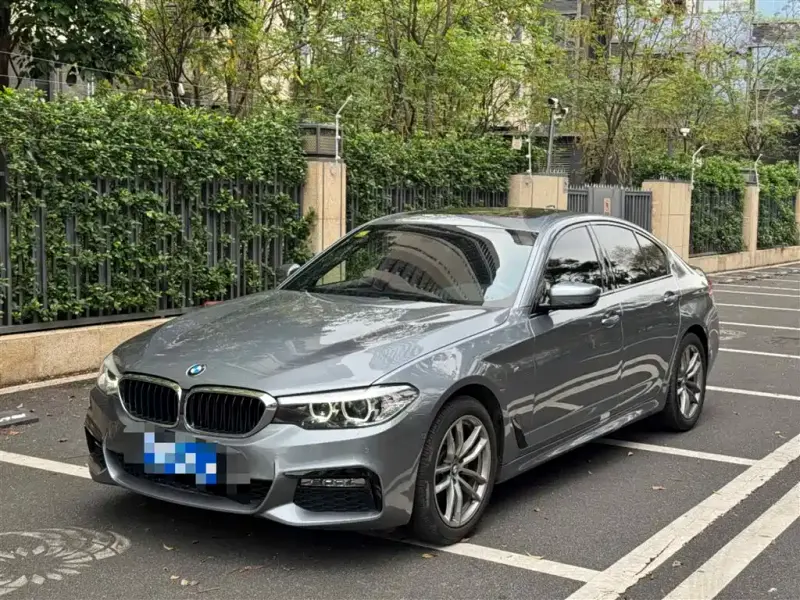 BMW 5 Series (Import)