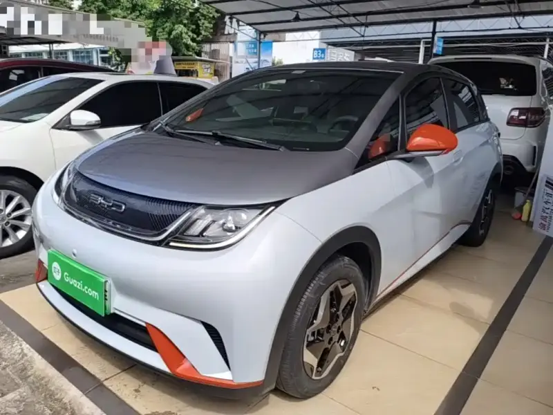 BYD Dolphin