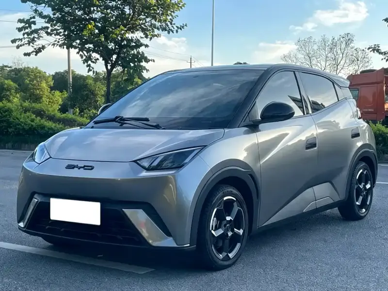BYD Seagull