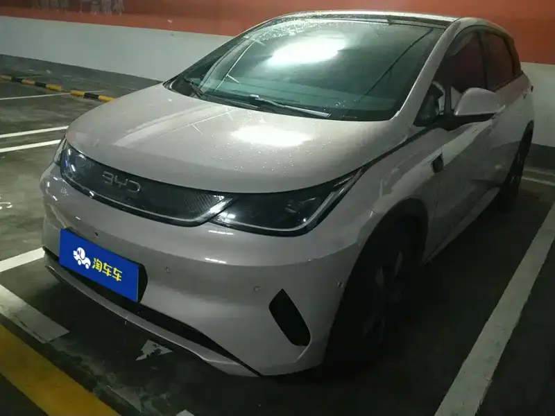 BYD Dolphin