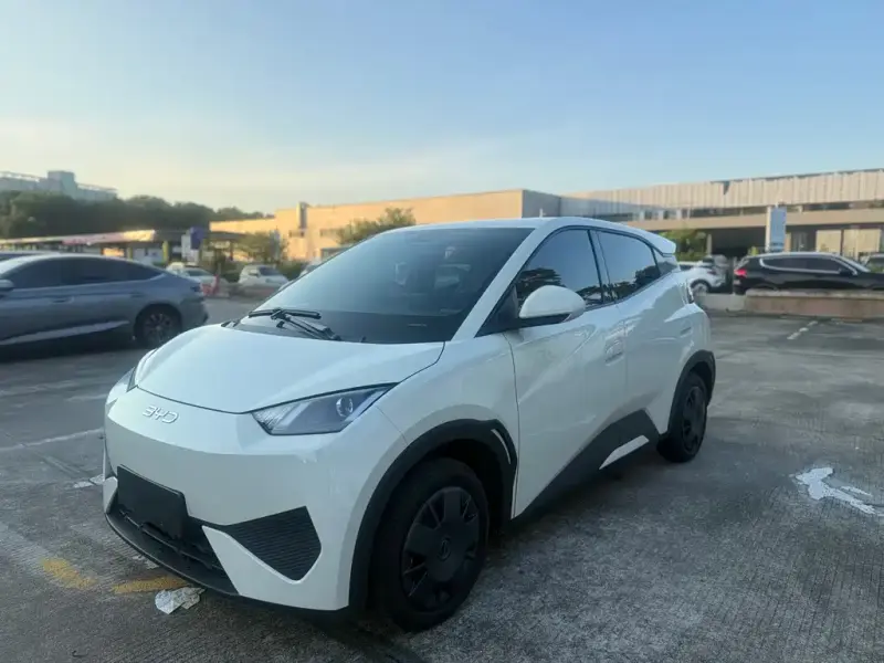 BYD Seagull