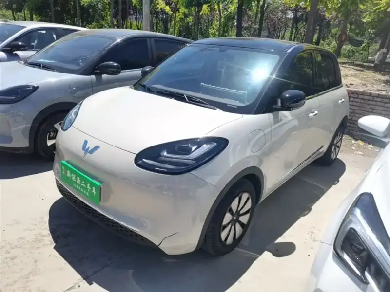 Wuling Bingo