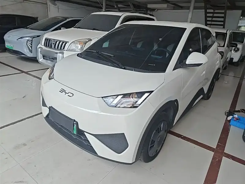 BYD Seagull