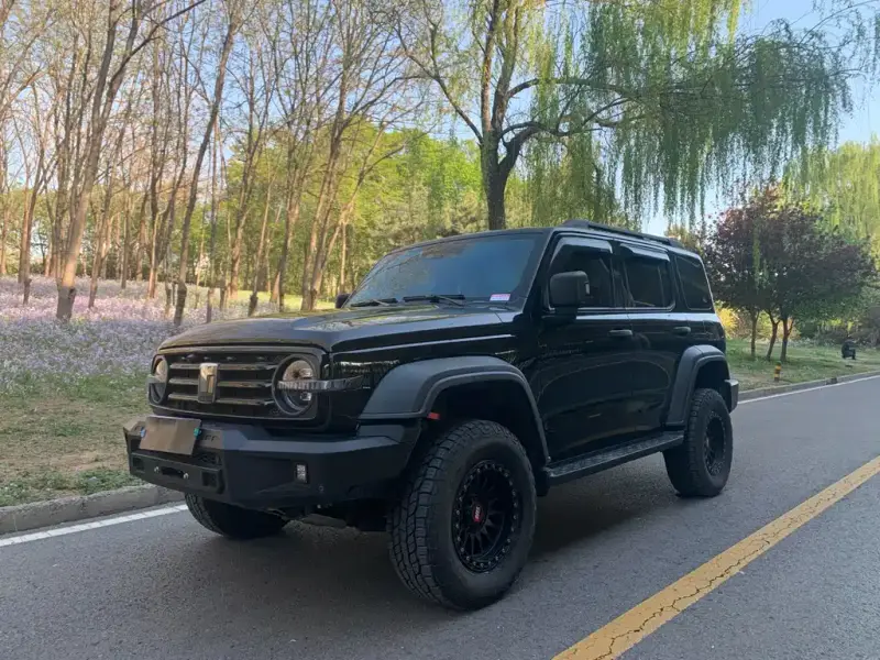 Tank 300