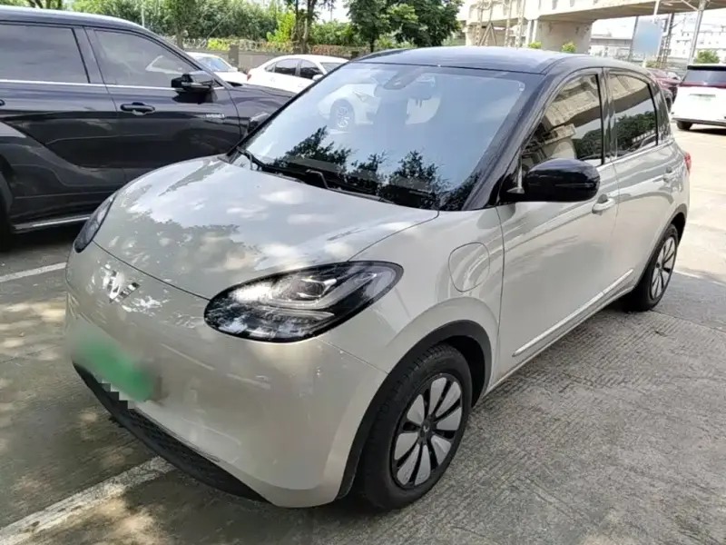 Wuling Bingo